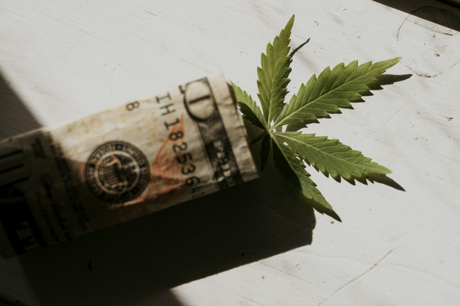 Investiere in eine Growbox: Ein finanzieller Vorteil für Cannabis-Liebhaber