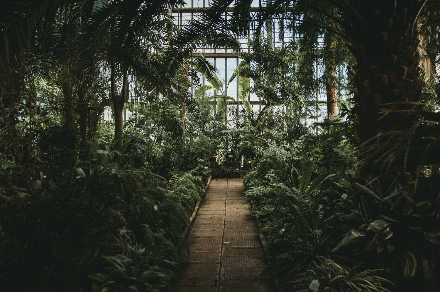 Schritt-für-Schritt Anleitung für den Cannabis-Indoor Anbau #4