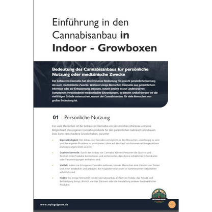 How To Grow Mit Erde