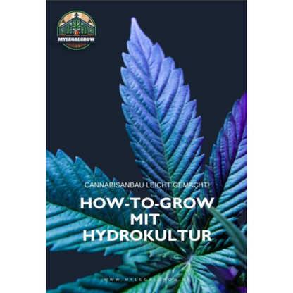 How To Grow Mit Hydrokultur